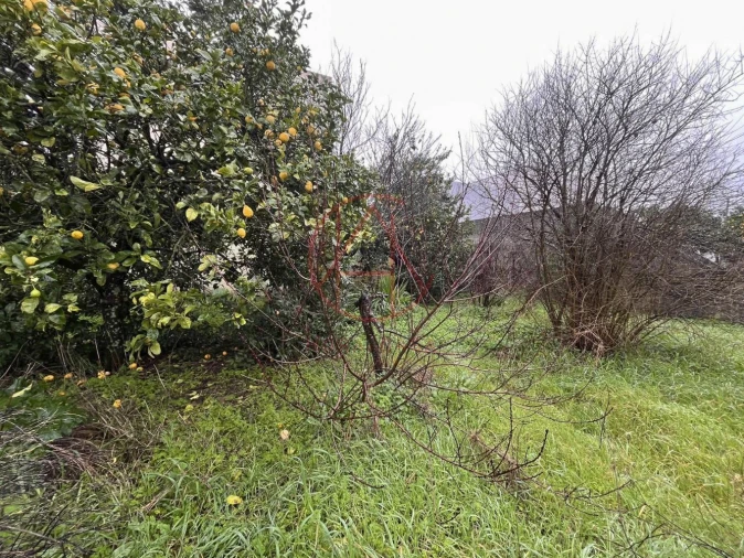 Terreno para Venda em Palhais e Coina Foto 6