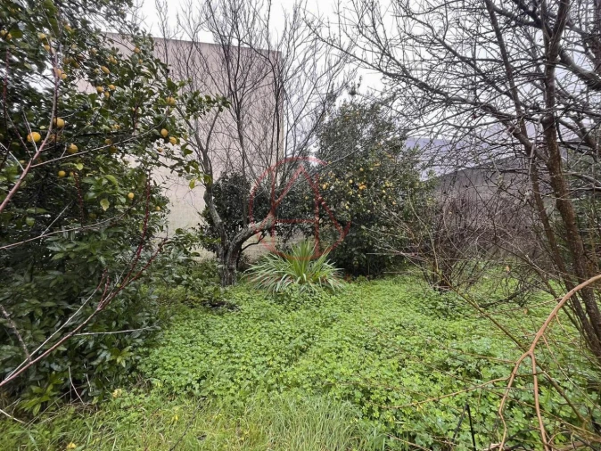 Terreno para Venda em Palhais e Coina Foto 8