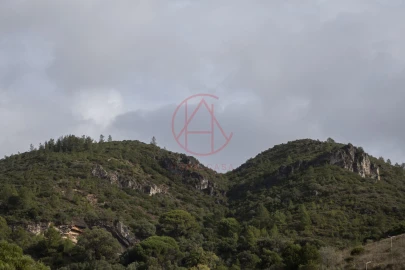 Apartamento T6 para Venda em Sesimbra (Santiago)