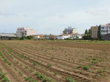 Terreno para Venda em Vila Nova da Telha