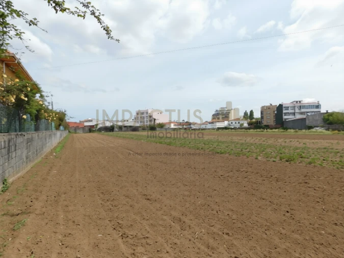 Terreno para Venda em Vila Nova da Telha Foto 3