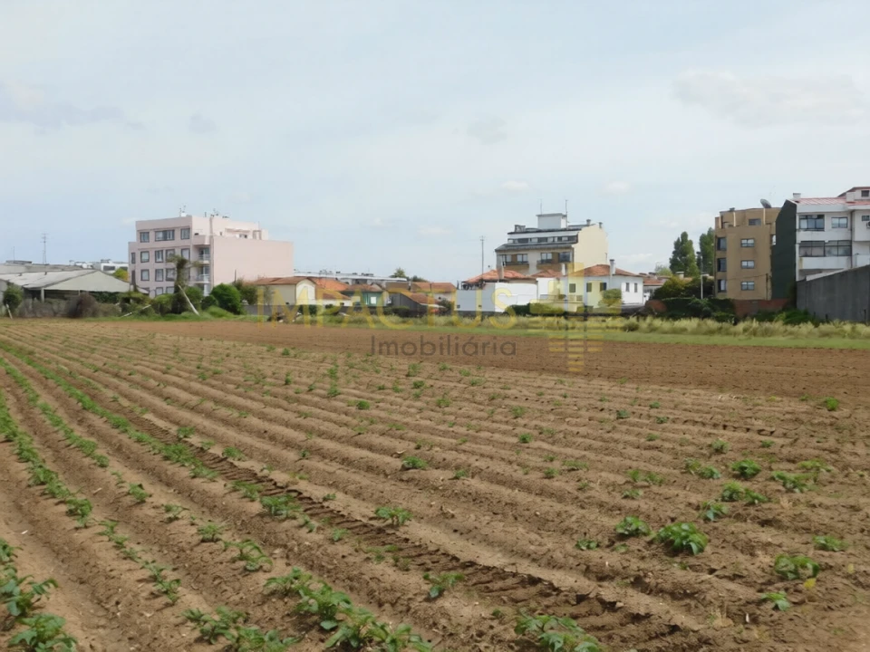 Terreno para Venda em Vila Nova da Telha Foto 5