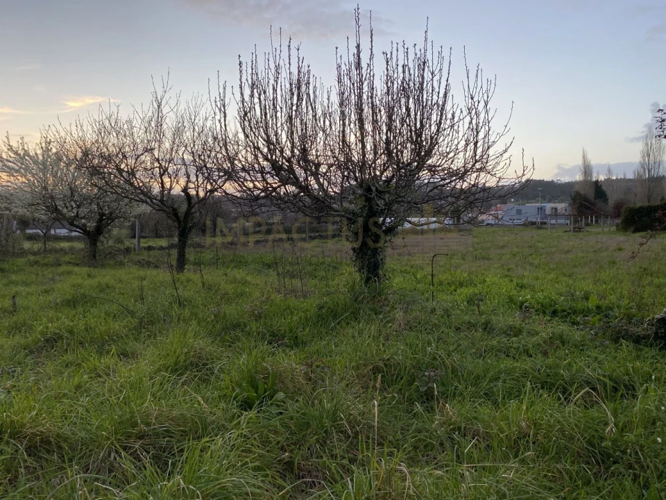 Terreno para Venda em Castêlo da Maia Foto 6