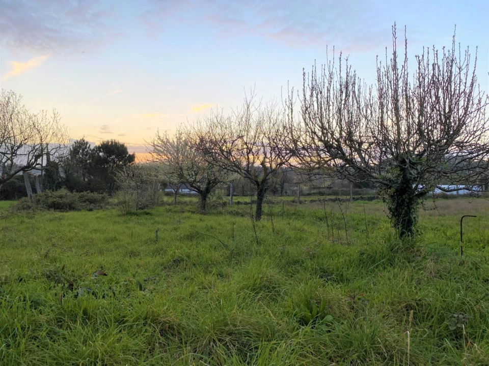 Terreno para Venda em Castêlo da Maia Foto 11