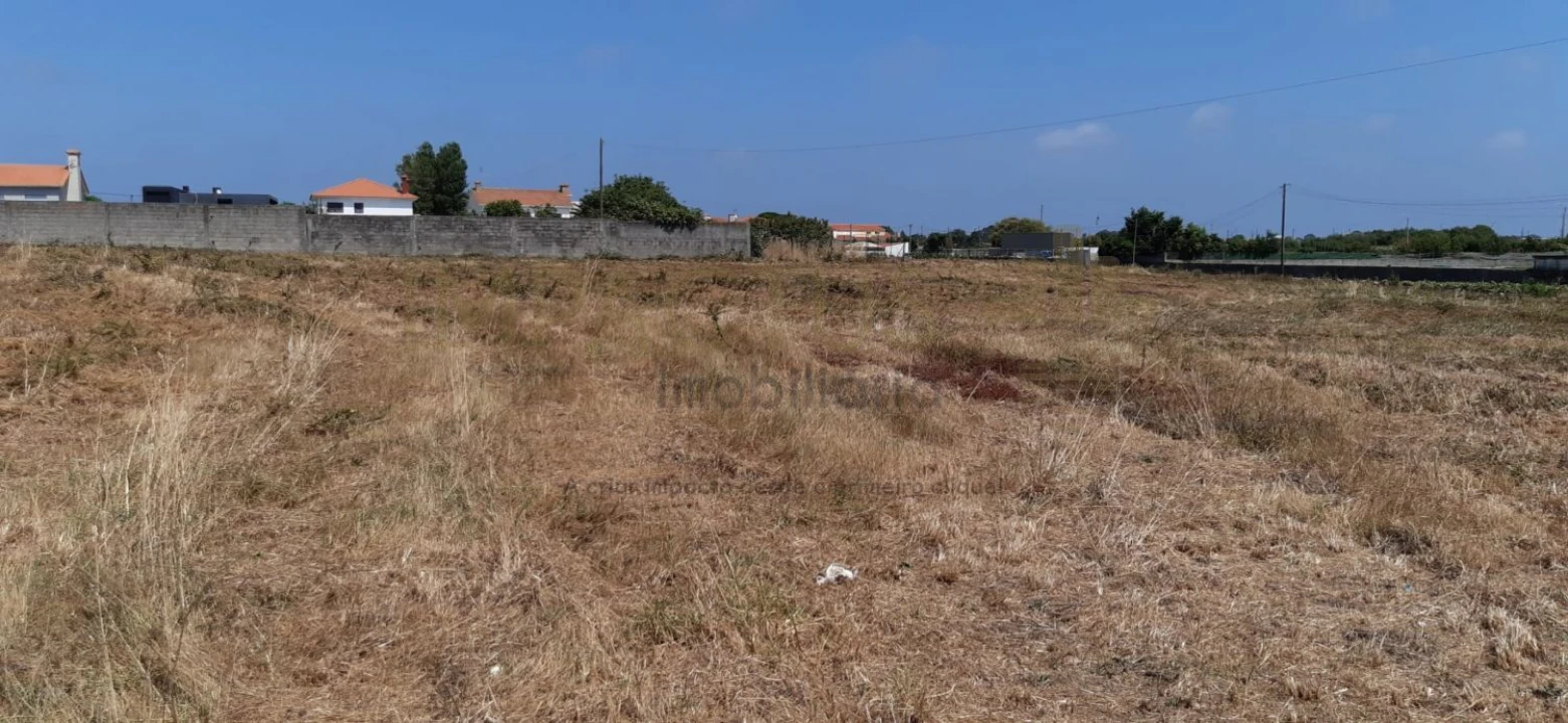Terreno para Venda em Póvoa de Varzim, Beiriz e Argivai Foto 5
