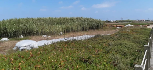 Terreno para Venda em Aver-O-Mar, Amorim e Terroso