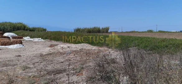 Terreno para Venda em Aver-O-Mar, Amorim e Terroso