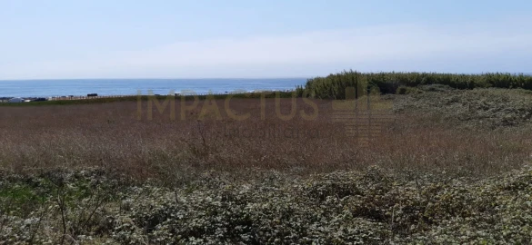 Terreno para Venda em Aver-O-Mar, Amorim e Terroso