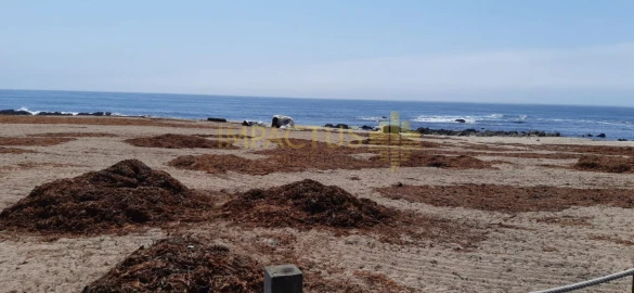 Terreno para Venda em Aver-O-Mar, Amorim e Terroso