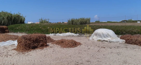 Terreno para Venda em Aver-O-Mar, Amorim e Terroso