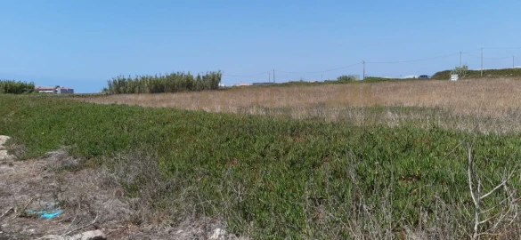 Terreno para Venda em Aver-O-Mar, Amorim e Terroso