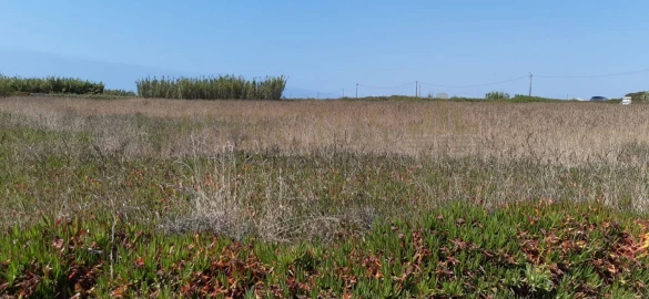 Terreno para Venda em Aver-O-Mar, Amorim e Terroso