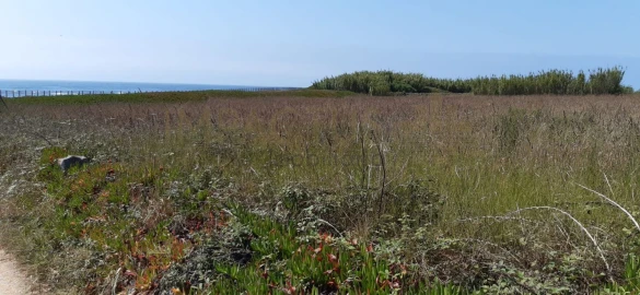 Terreno para Venda em Aver-O-Mar, Amorim e Terroso