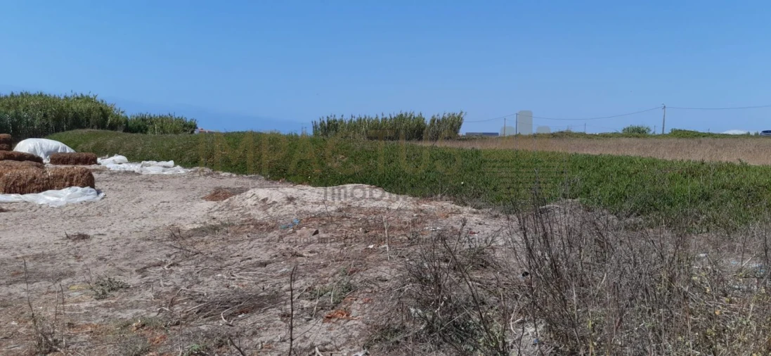 Terreno para Venda em Aver-O-Mar, Amorim e Terroso Foto 16