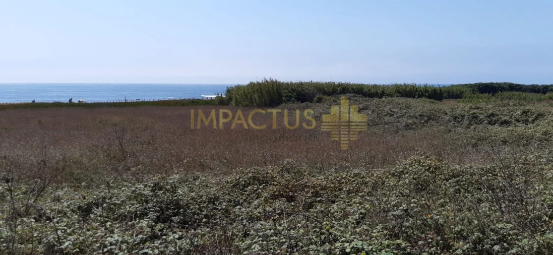 Terreno para Venda em Aver-O-Mar, Amorim e Terroso Foto 3