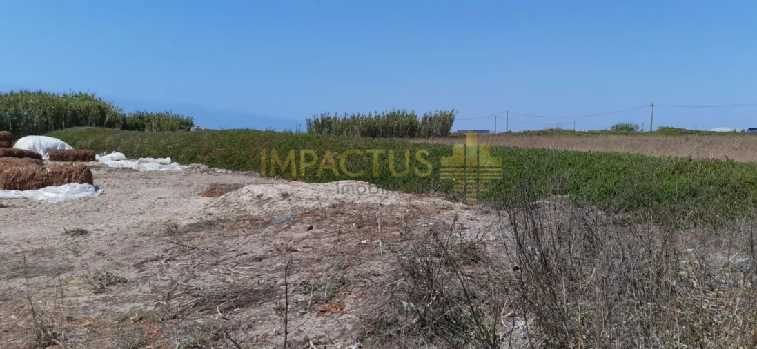 Terreno para Venda em Aver-O-Mar, Amorim e Terroso Foto 16