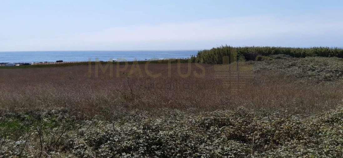 Terreno para Venda em Aver-O-Mar, Amorim e Terroso Foto 19
