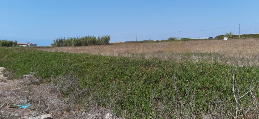 Terreno para Venda em Aver-O-Mar, Amorim e Terroso Foto 7