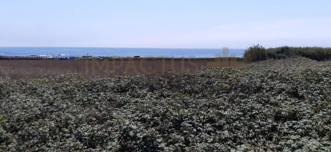 Terreno para Venda em Aver-O-Mar, Amorim e Terroso Foto 22