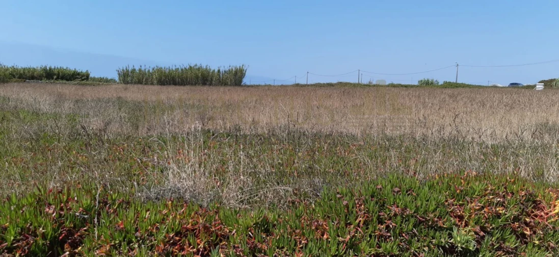 Terreno para Venda em Aver-O-Mar, Amorim e Terroso Foto 18