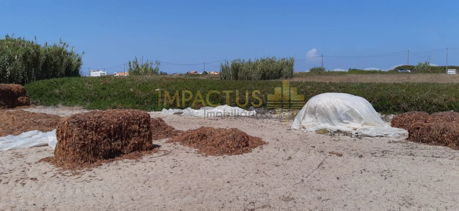Terreno para Venda em Aver-O-Mar, Amorim e Terroso Foto 8