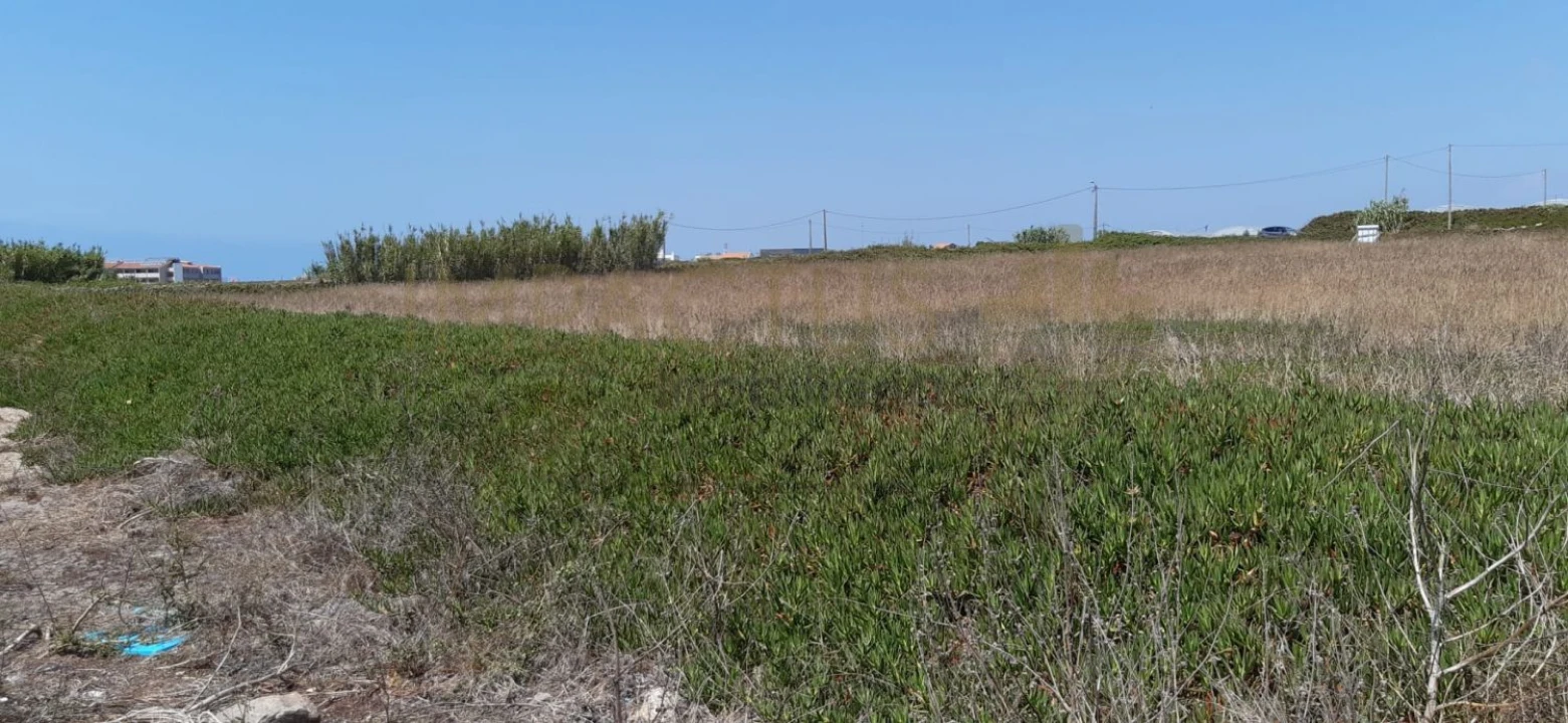 Terreno para Venda em Aver-O-Mar, Amorim e Terroso Foto 7