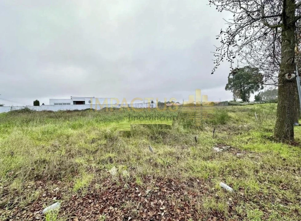 Terreno para Venda em Aguas Santas Foto 6