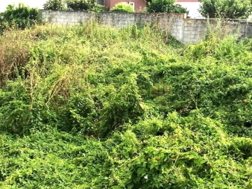 Terreno para Venda em Coronado (São Romão e São Mamede)