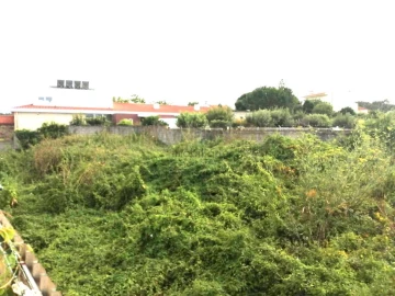 Terreno para Venda em Coronado (São Romão e São Mamede)