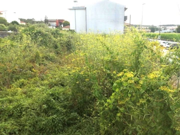 Terreno para Venda em Coronado (São Romão e São Mamede)