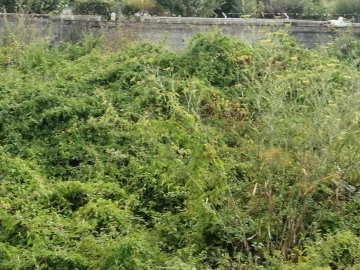 Terreno para Venda em Coronado (São Romão e São Mamede)