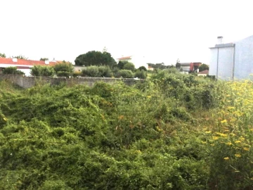 Terreno para Venda em Coronado (São Romão e São Mamede)