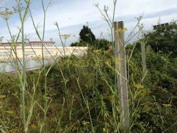 Terreno para Venda em Coronado (São Romão e São Mamede)