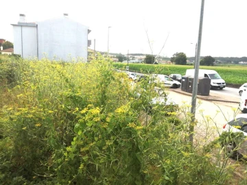 Terreno para Venda em Coronado (São Romão e São Mamede)