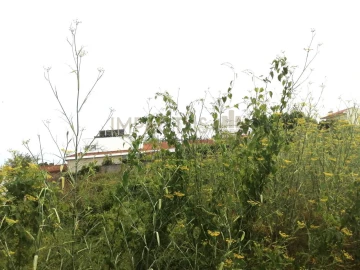 Terreno para Venda em Coronado (São Romão e São Mamede)