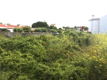 Terreno para Venda em Coronado (São Romão e São Mamede)