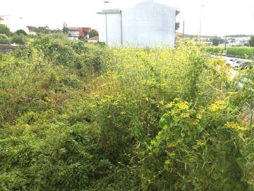 Terreno para Venda em Coronado (São Romão e São Mamede)