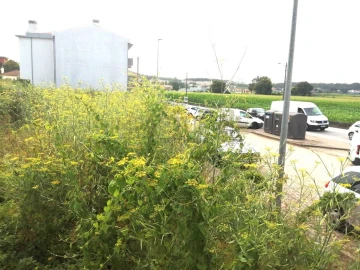 Terreno para Venda em Coronado (São Romão e São Mamede)