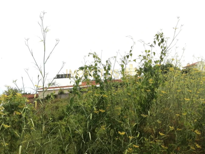 Terreno para Venda em Coronado (São Romão e São Mamede) Foto 9