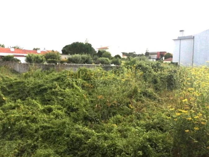 Terreno para Venda em Coronado (São Romão e São Mamede) Foto 6