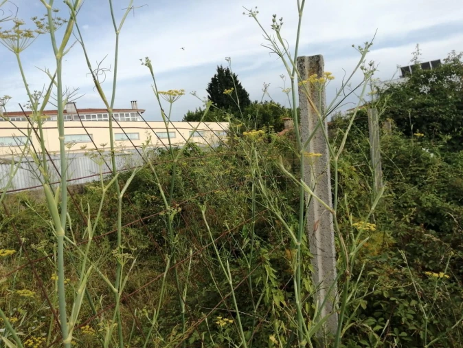 Terreno para Venda em Coronado (São Romão e São Mamede) Foto 8
