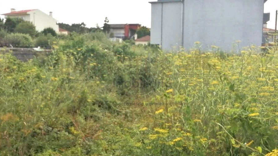 Terreno para Venda em Coronado (São Romão e São Mamede)