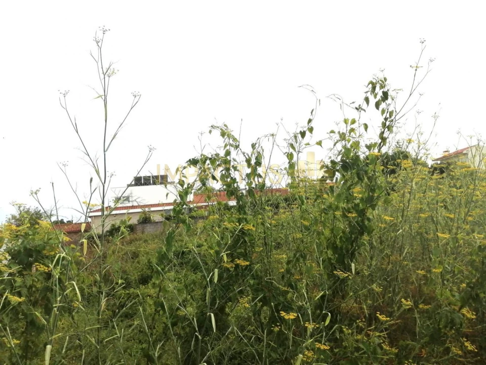 Terreno para Venda em Coronado (São Romão e São Mamede) Foto 9