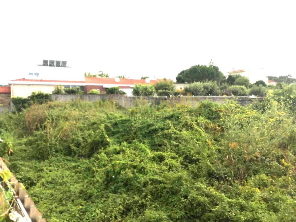 Terreno para Venda em Coronado (São Romão e São Mamede) Foto 1