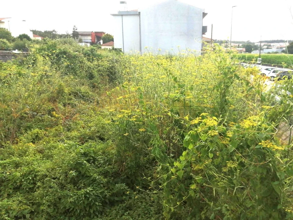 Terreno para Venda em Coronado (São Romão e São Mamede) Foto 10