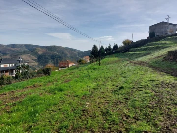 Terreno para Venda em Paradela e Granjinha