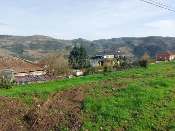 Terreno para Venda em Paradela e Granjinha