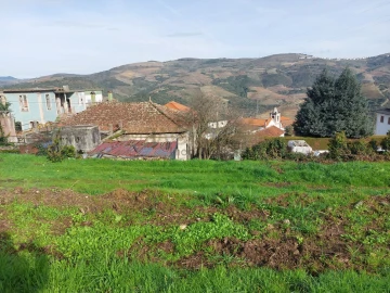 Terreno para Venda em Paradela e Granjinha