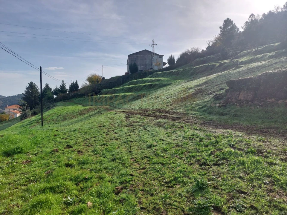 Terreno para Venda em Paradela e Granjinha Foto 11