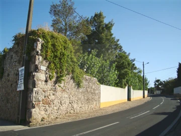 Moradia T8 para Venda em Roliça